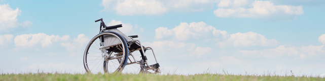 職場体験(インターンシップ)