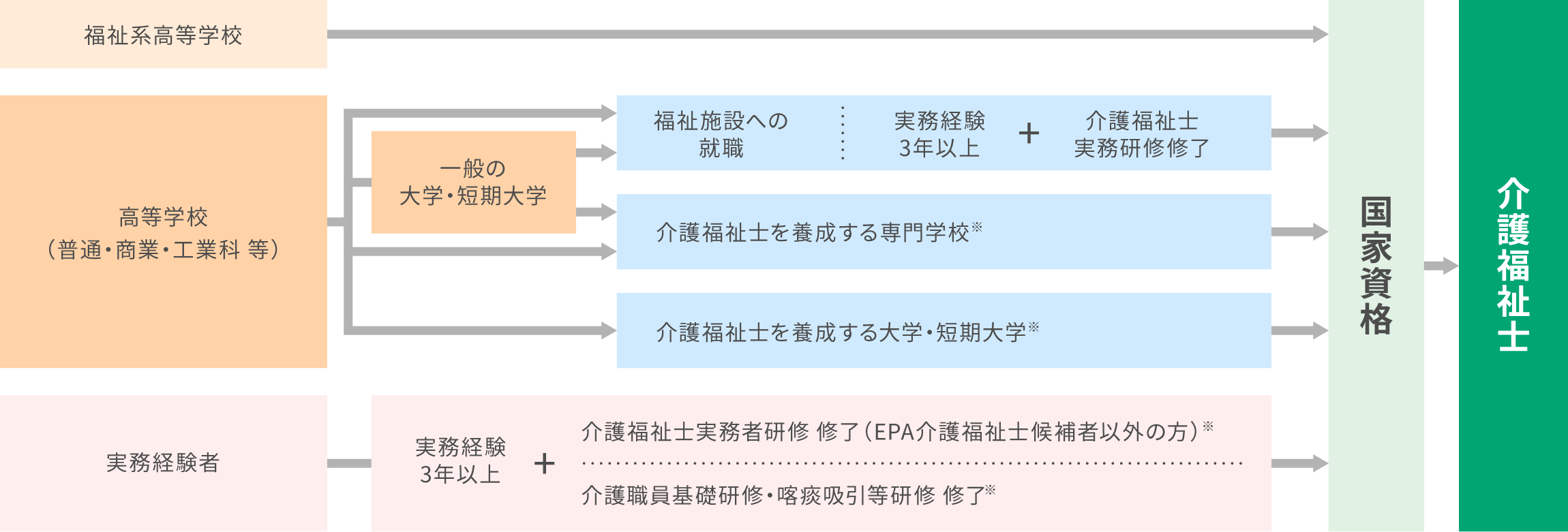 介護福祉士(国家資格)取得への主なルート